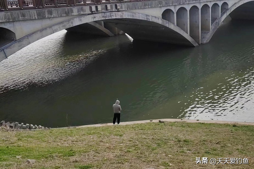 用路亚钓翘嘴的正确方法与技巧,怎样用路亚钓翘嘴最快最有效