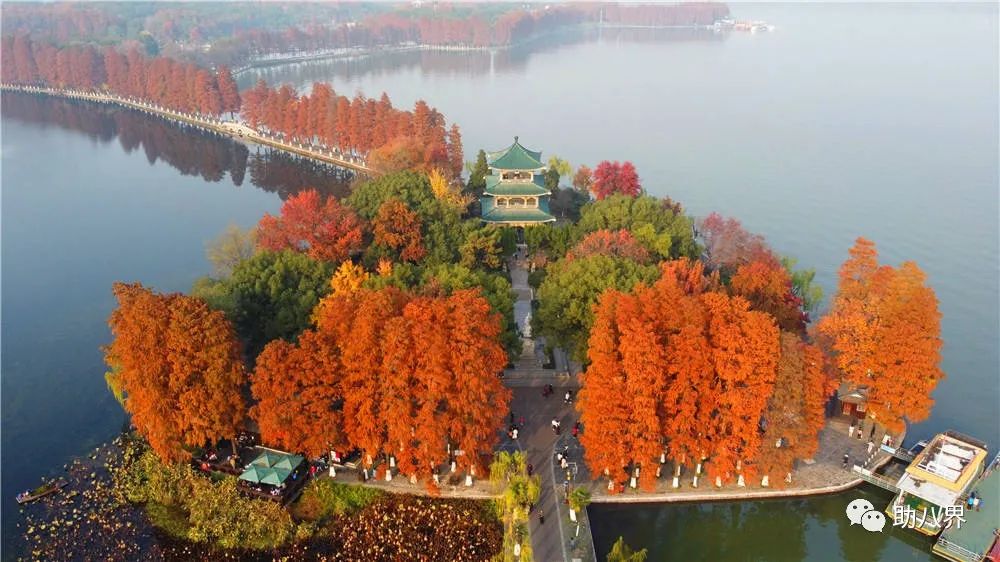 武汉必打卡的十大景点介绍,武汉南湖网红打卡景点