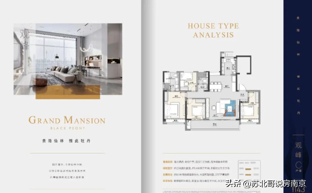 南京汇通路黑牡丹大观天下开发商,汇通路牡丹大观
