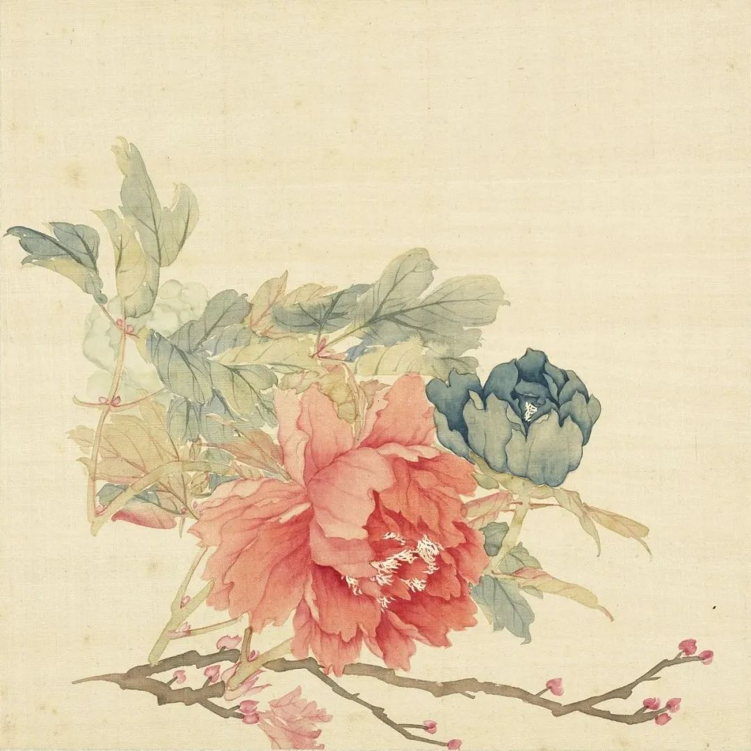 慕容看世界的视频,慕容看世界所有视频