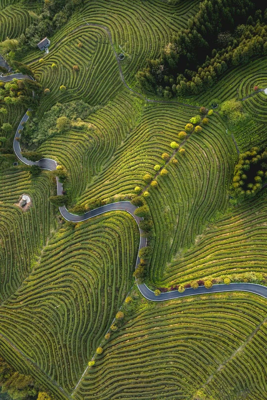 中国最好喝啤酒城市,全国最难喝的城市