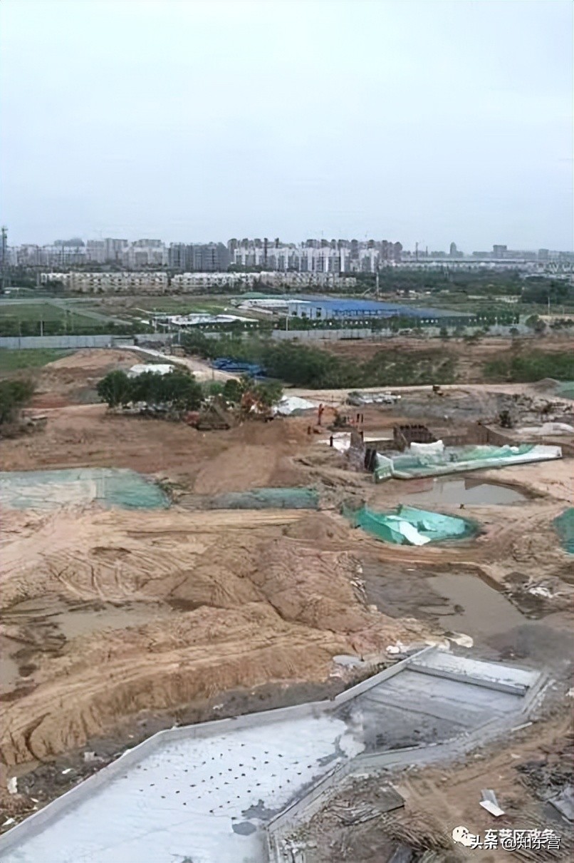 东营泮水公园火爆,东营泮水公园有植物吗