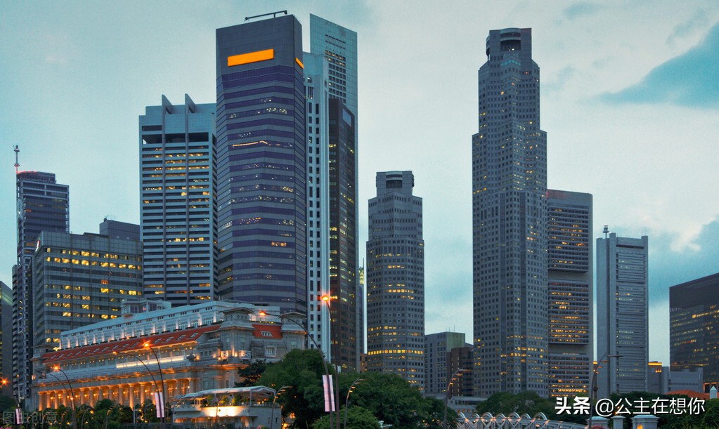 新加坡7个冷知识英文,世界上养猫最多的国家