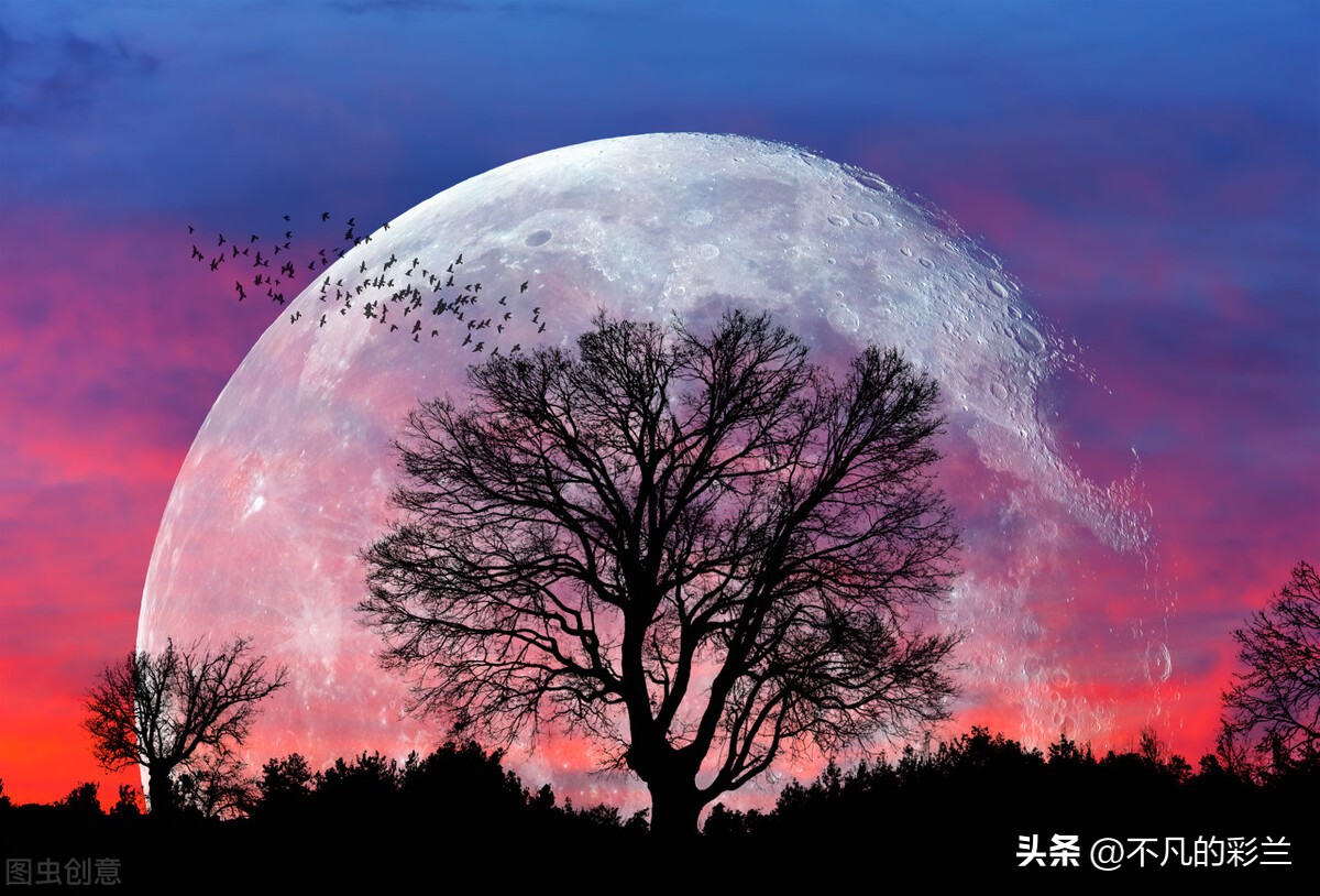 几点出现月全食和超级月亮,今天晚上几点出现月全食和红月亮