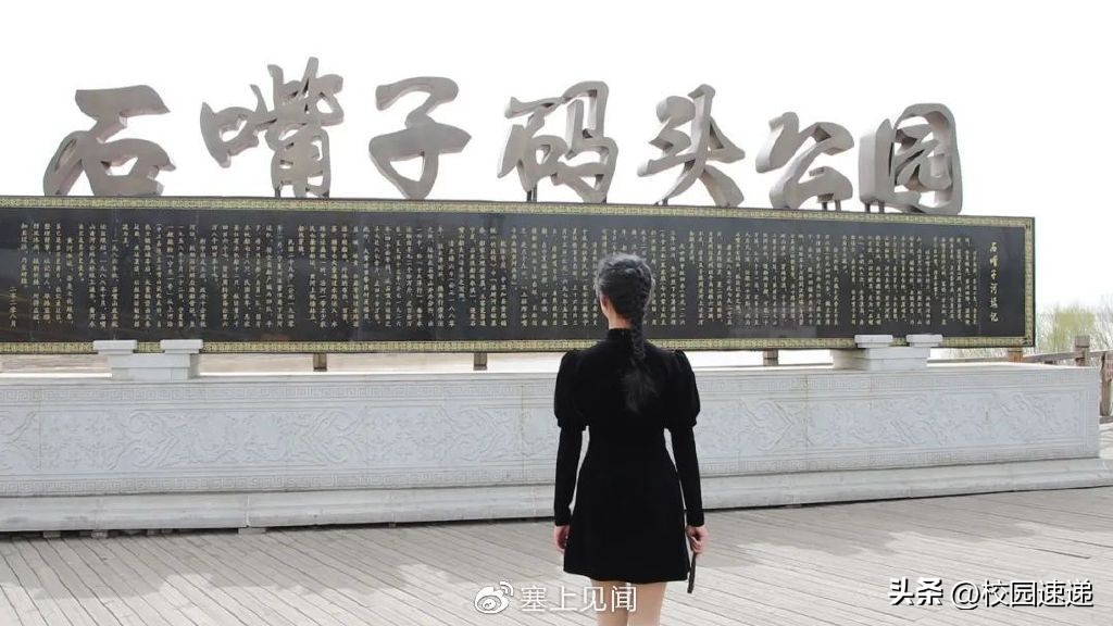 石嘴山真实历史,宁夏奇石的秘密