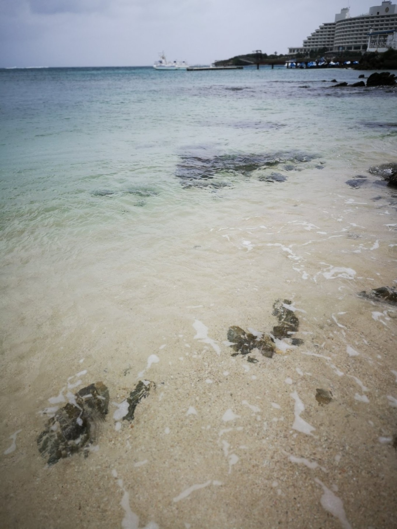 暑期档2019年,2019年暑期档