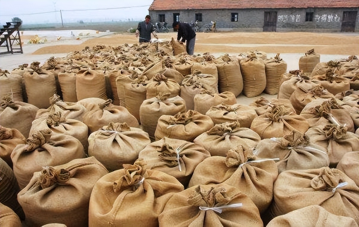 400吨储备粮消失案,中央粮库400吨粮食不翼而飞