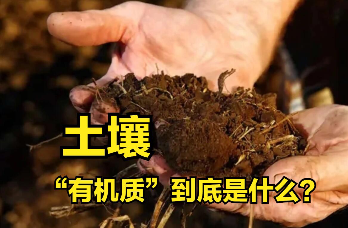 有机种植知识讲解,有机质是什么符合种植标准的