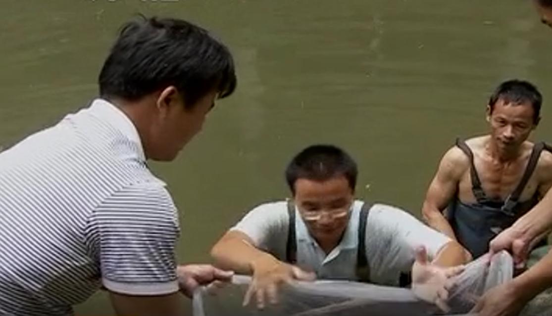 广西单身小伙赚到第一份工资,广西小伙养鱼赚百万
