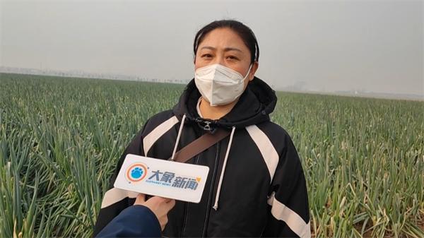 先来几千斤！大象新闻搭建助农通道，爱心人士奔向焦作武陟田间买葱