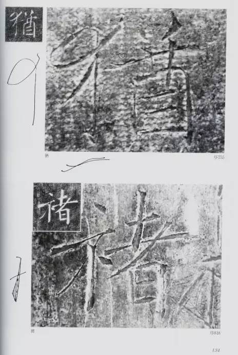 宸ョ瑪鐢绘潹鏅箟鐢诲唽,鏉滈箖鏉ㄦ櫘涔夊畬鏁寸増