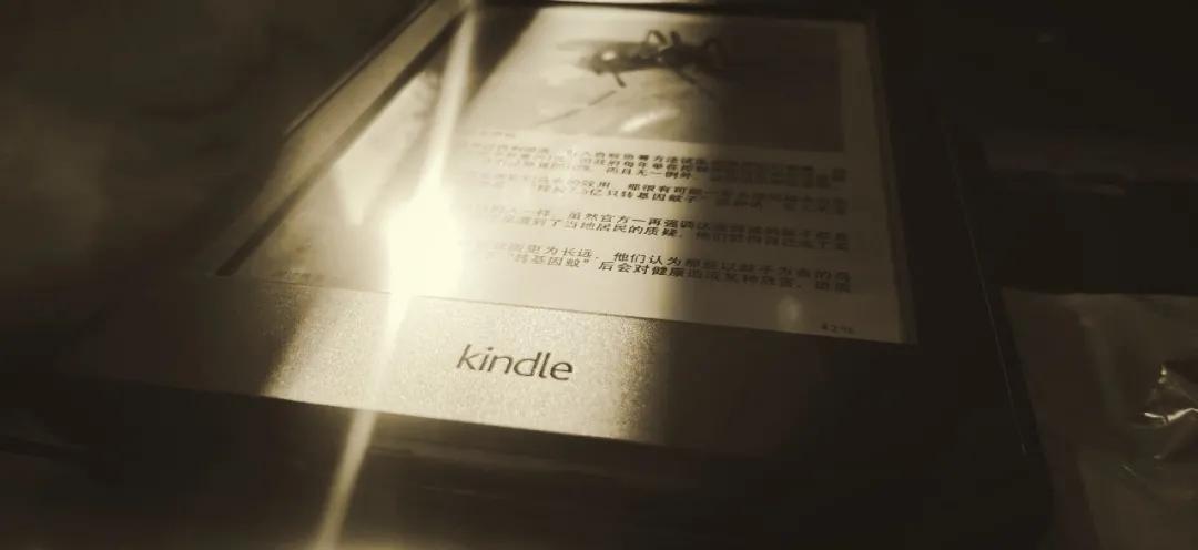 kindle一般的阅读器,kindle电子阅读器使用感受