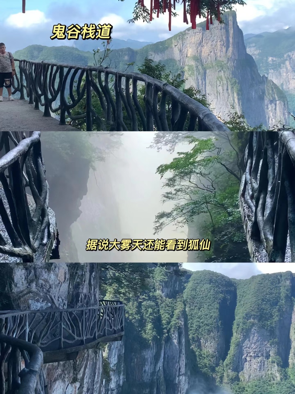 自游张家界旅游攻略和费用,张家界旅游攻略和费用最新