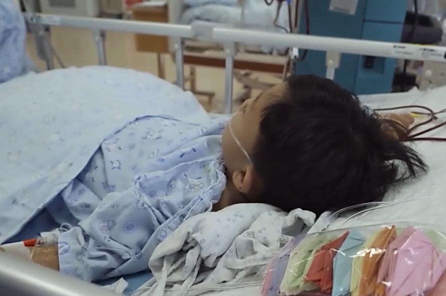 5岁男孩急性肾衰竭新闻,5岁男孩突发肾衰竭