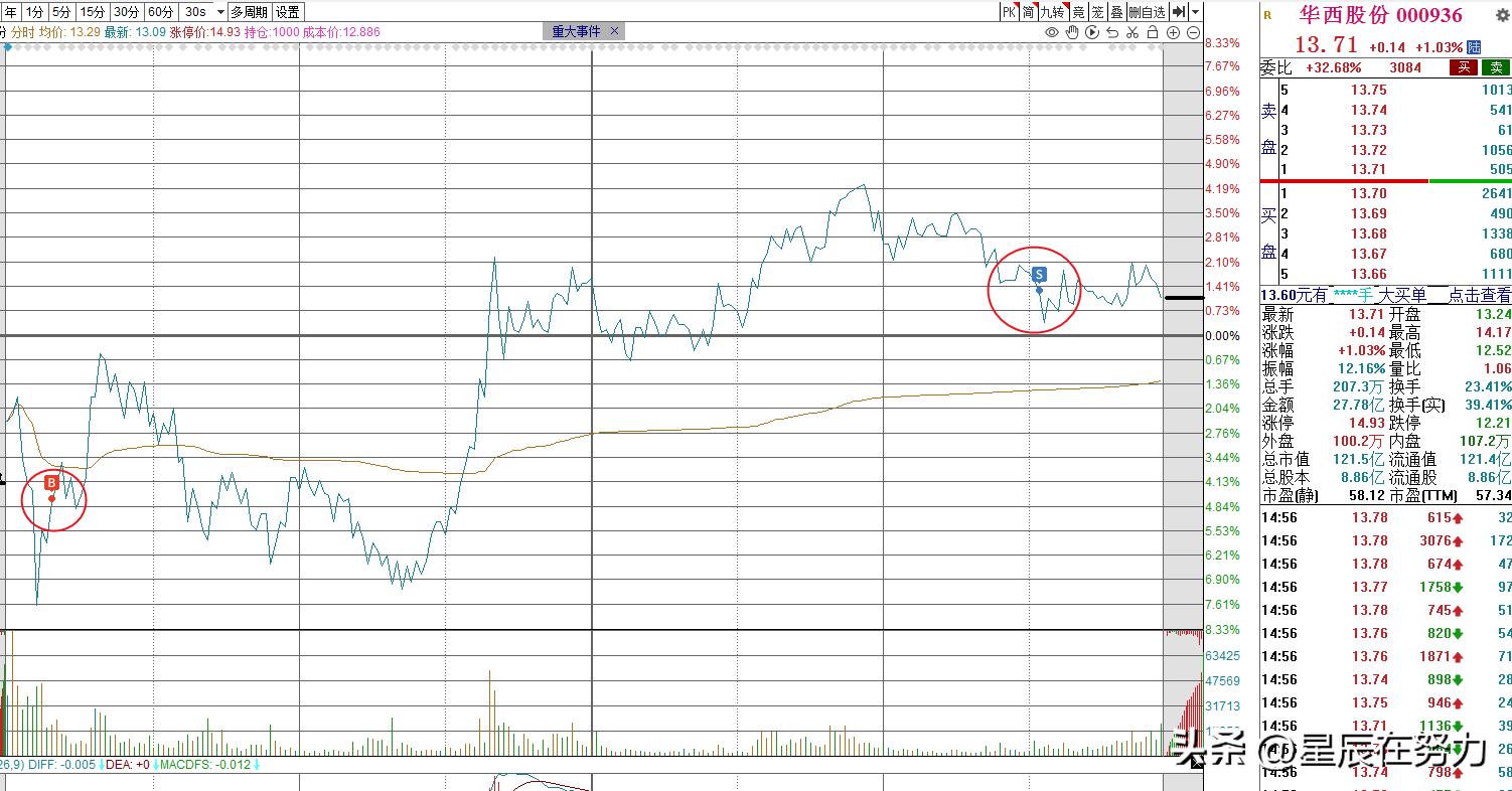 知名游资扎堆买入鸿博股份,预测鸿博股份6月1日走势