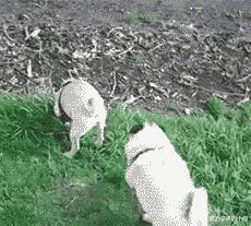 今天过来按脚，恰巧碰见了前女友，我该怎么化解尴尬呢？