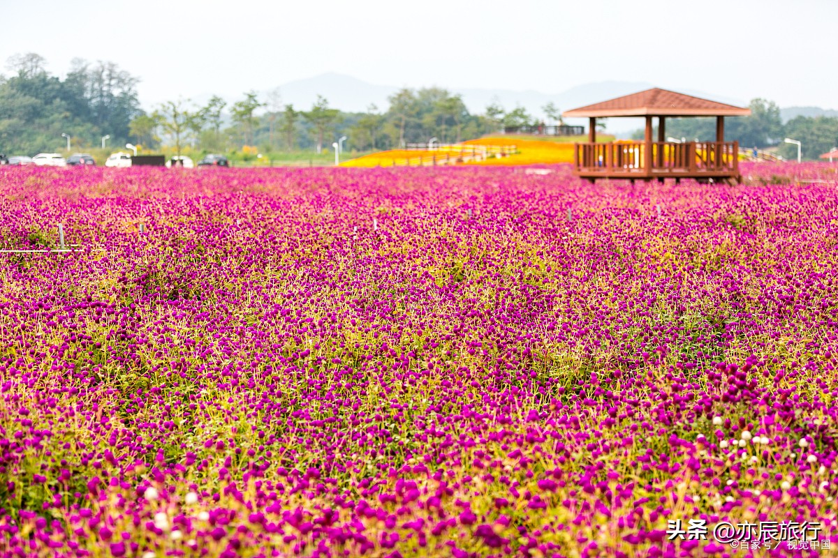 佛山秋天禅城必游景点,佛山11月游玩攻略自由行