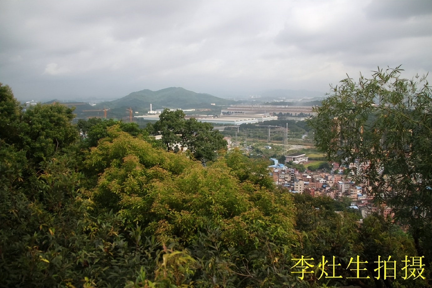 杨四将军庙简介,杨四将军庙在哪个位置