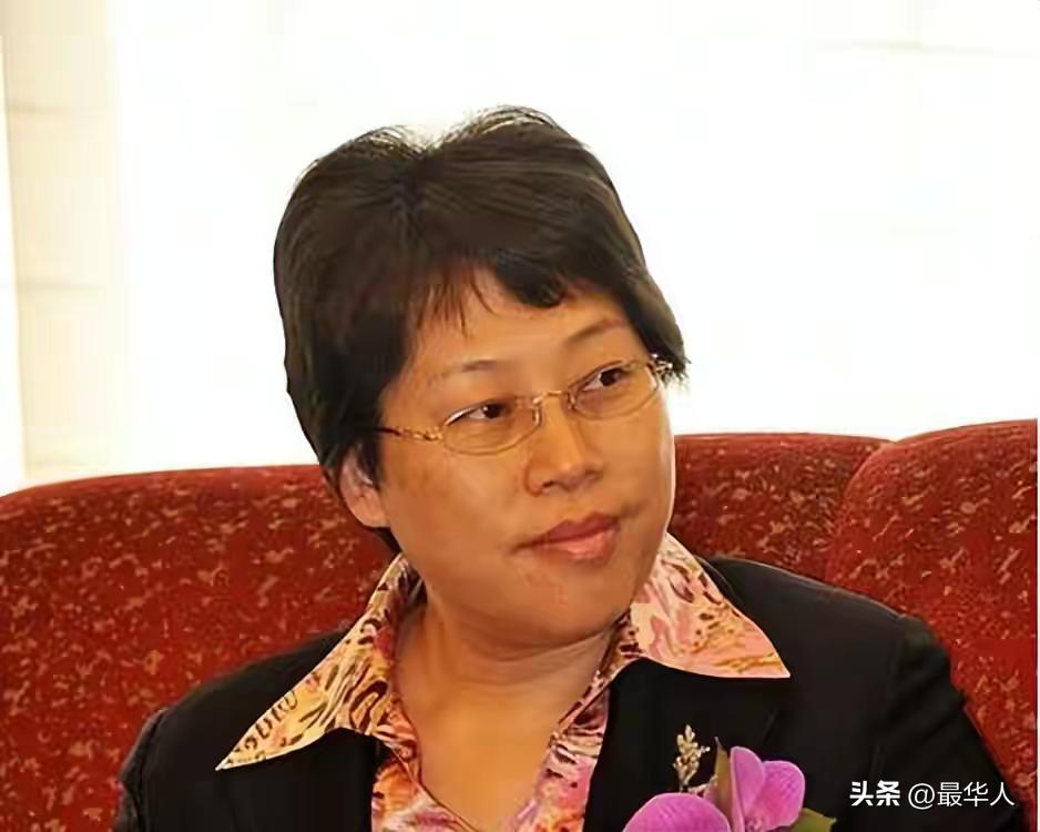 中国山寨机,山寨机经济损失