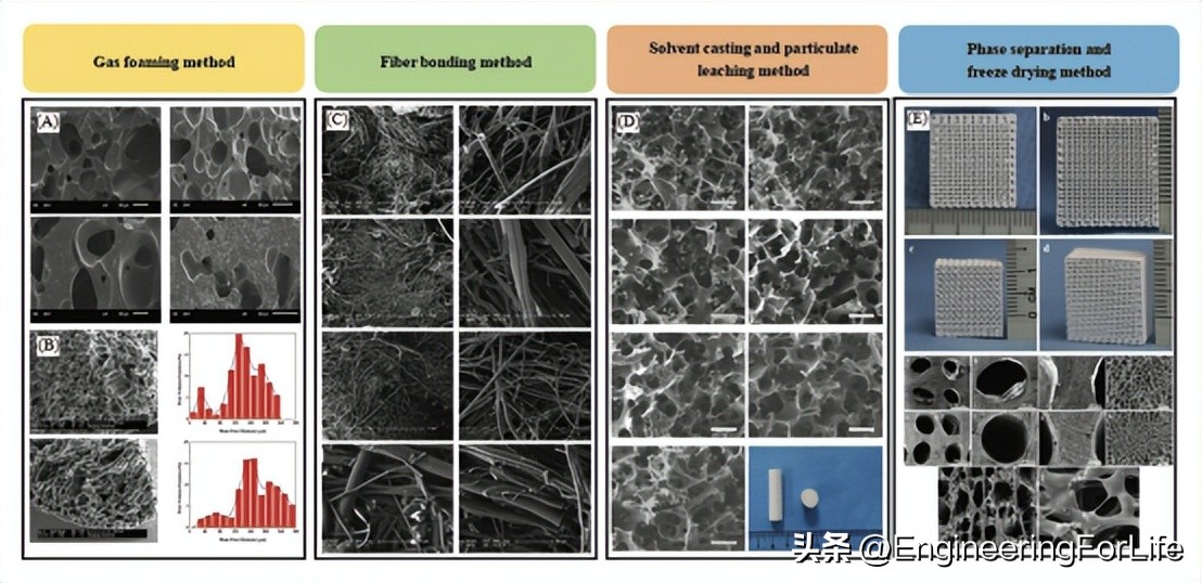人造骨骨移植研究进展！面临三大挑战并进行未来展望