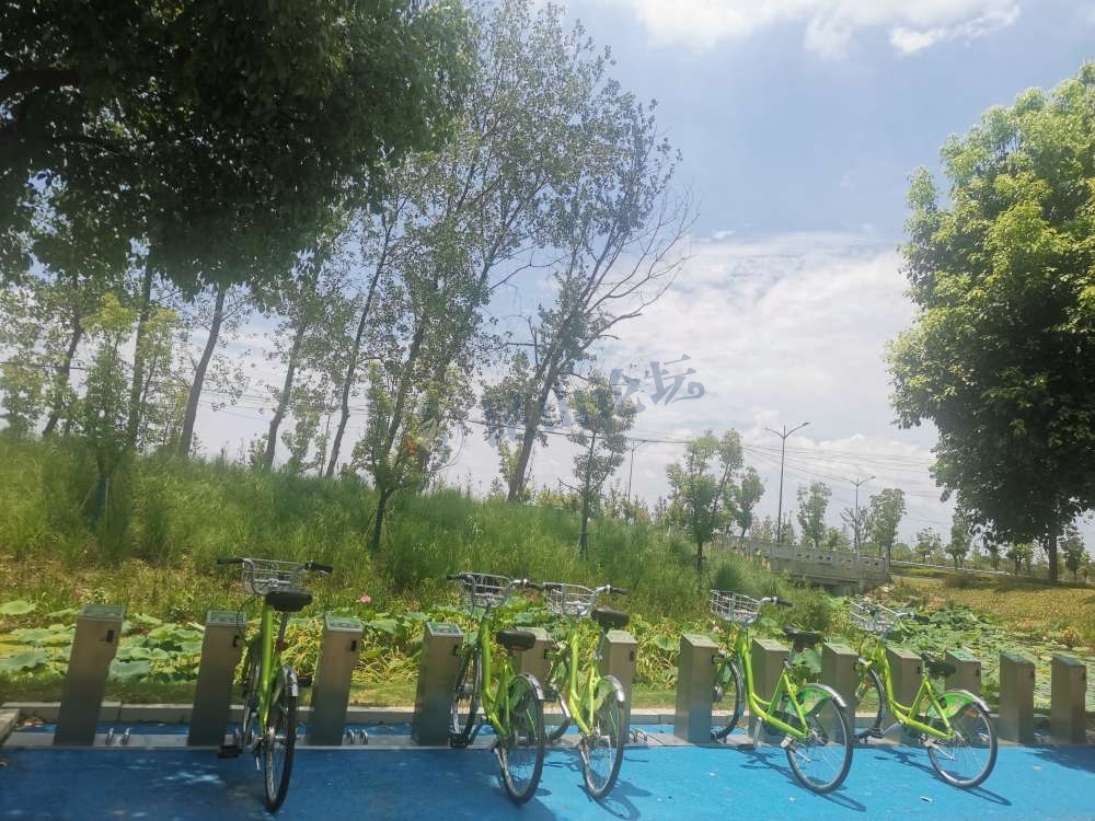 张浦高中什么时候弄好,张浦镇高中在哪里