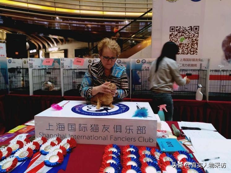 我，80后上海人，靠养猫一个月赚好几万，如今移民希腊，财务自由