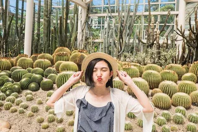 2023厦门4日游最佳路线，去厦门四天注意事项有哪些？