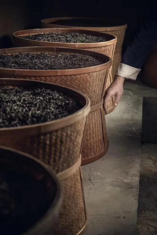 11支中华历史名茶，创始人是谁？