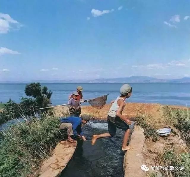 父亲的日记的散文,父亲的散文日记