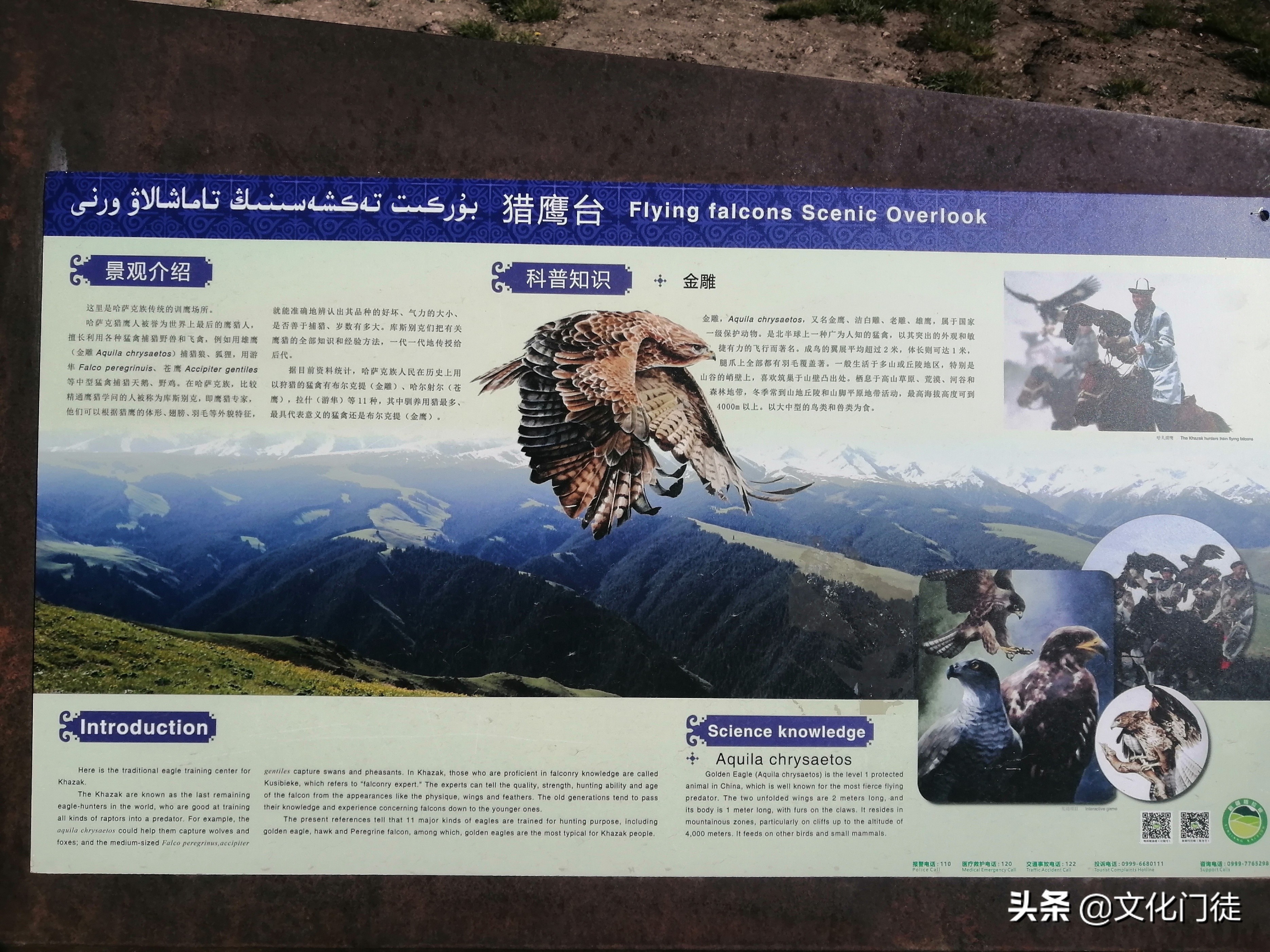 喀拉峻大草原导游词,喀拉峻草原导游词1000字