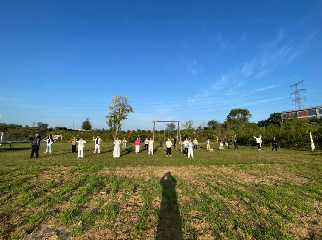 王通：如何快速开悟？