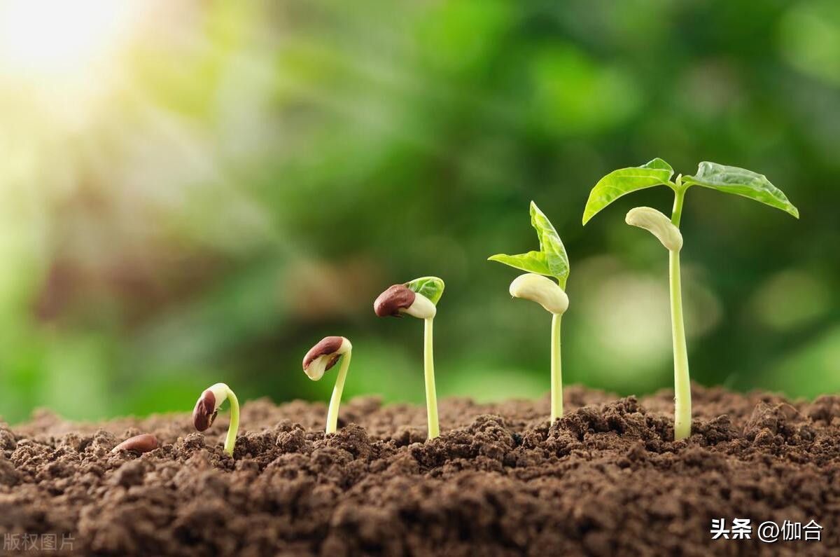 招聘入职都需要提供什么资料,想入职需要哪些手续