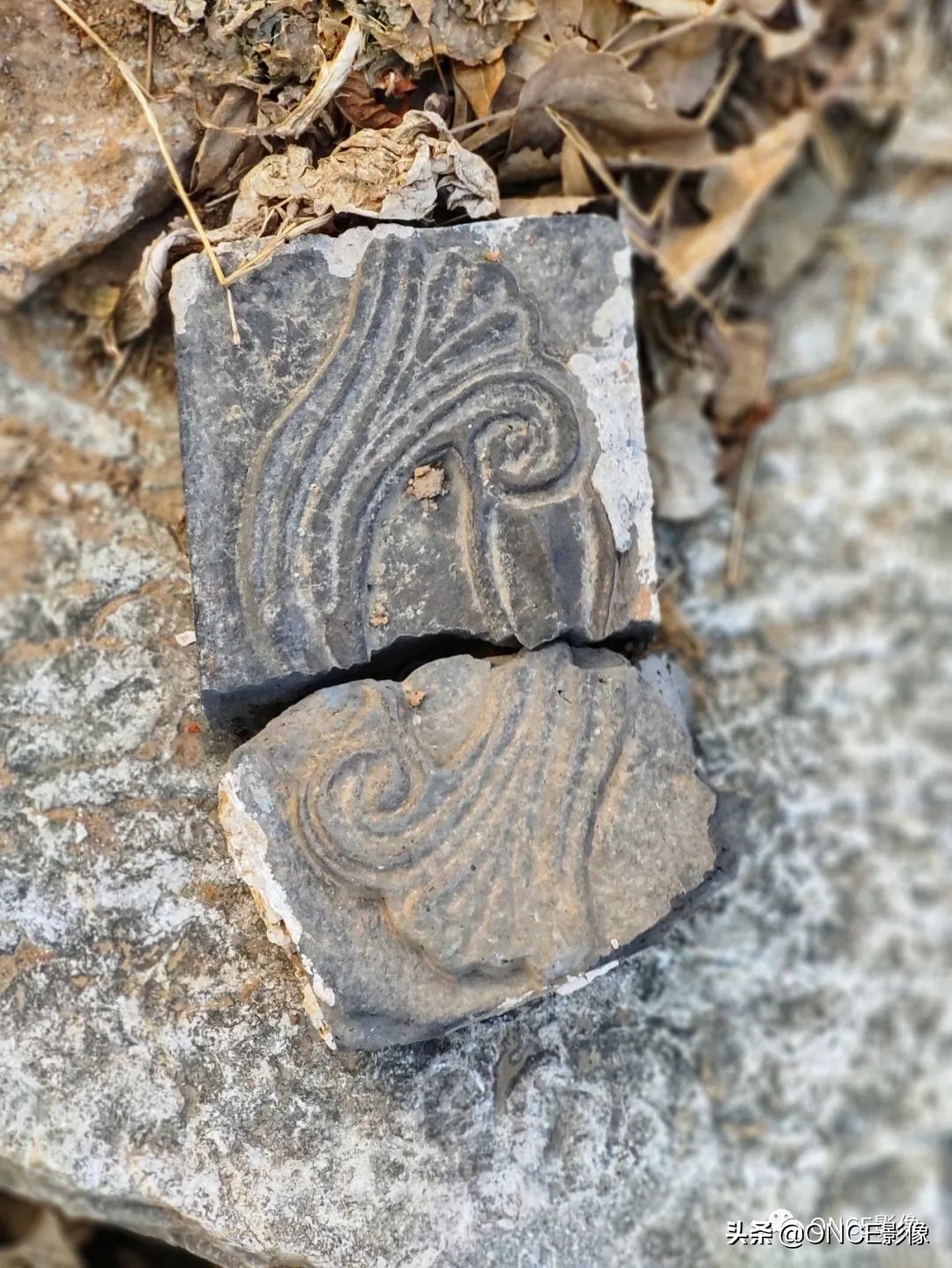 东平翰林院老人,东平翰林苑房价