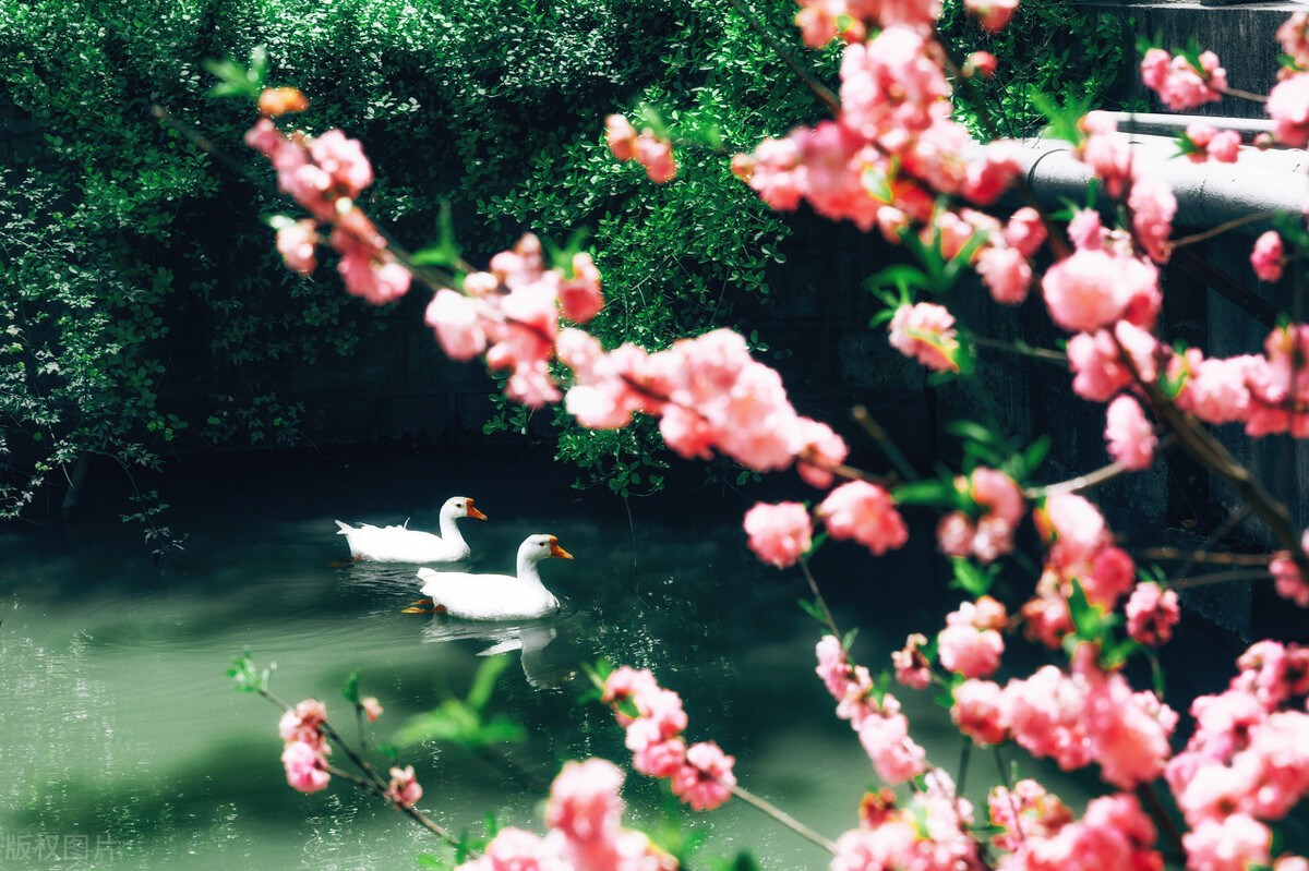 人生为什么会觉得无趣,当你觉得人生无趣