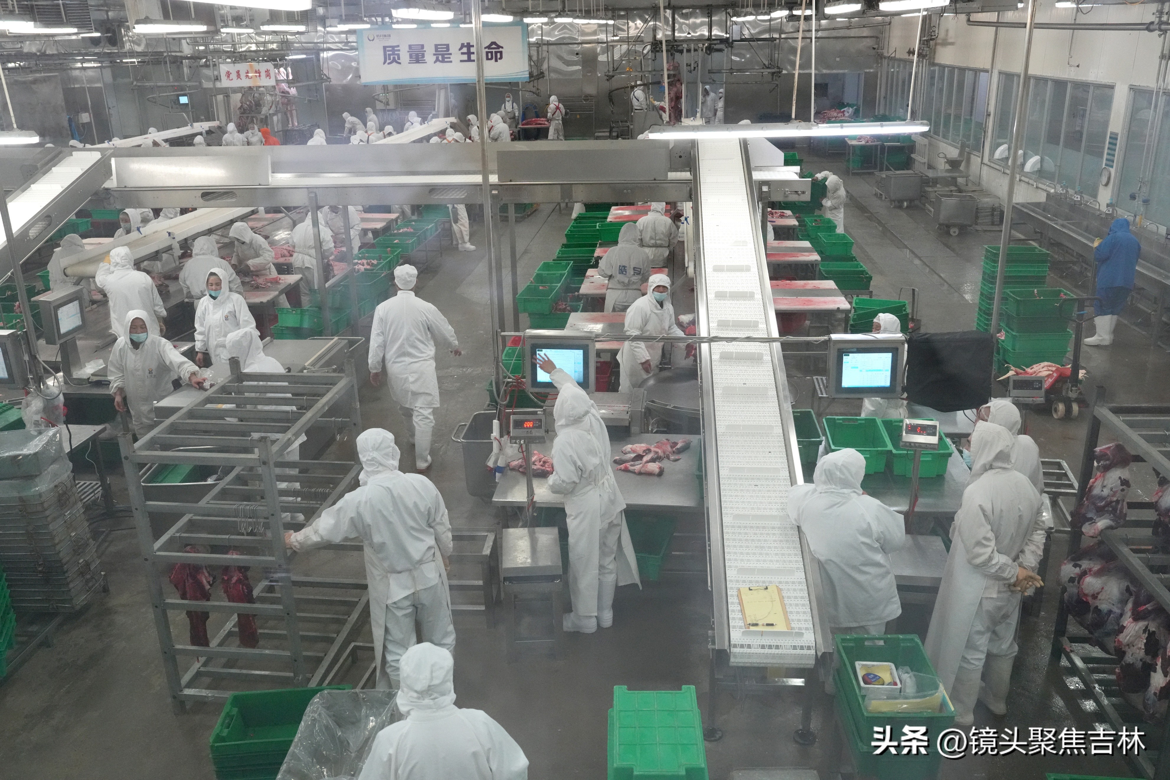 皓月集团宣传片,皓月集团规划