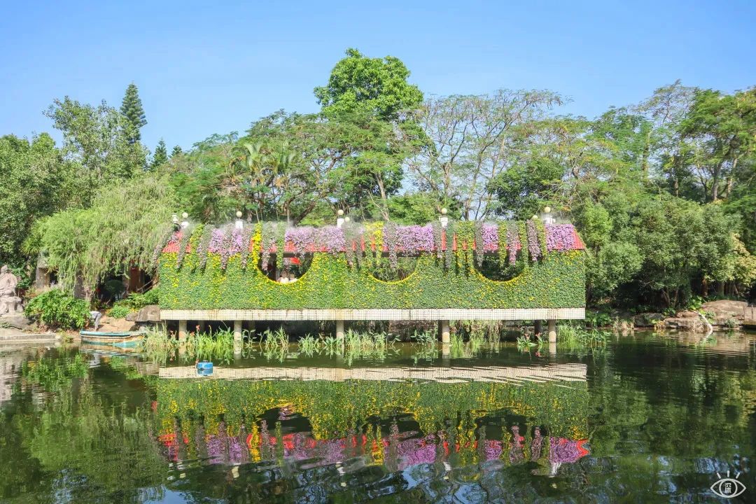 深圳3月14个赏花胜地全部免费,深圳清明节踏青赏花好去处