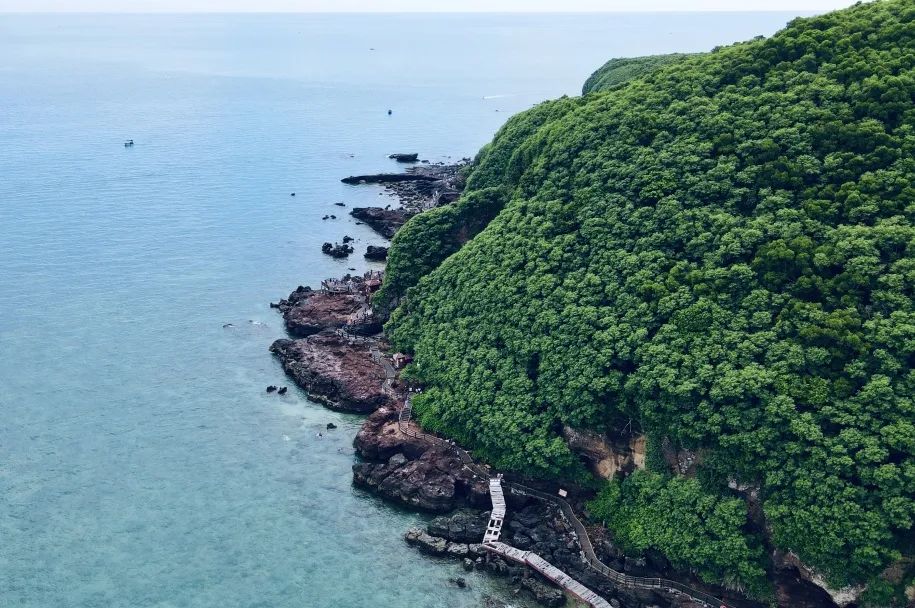 盘点那些过气网红的现状,2020年已经过气的网红