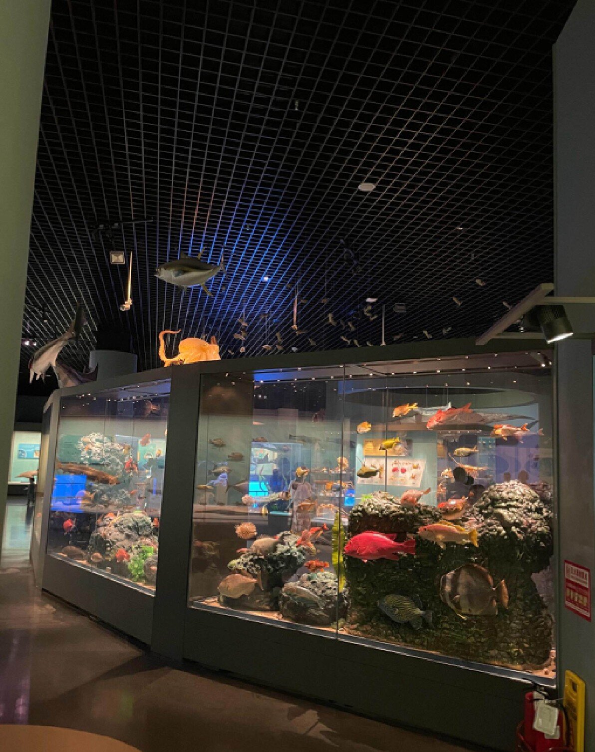 五一天津适合带孩子玩的地方,天津游玩攻略带孩子旅游最佳路线