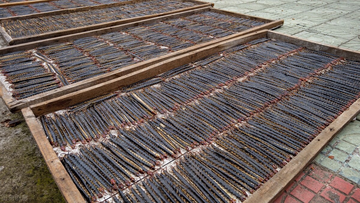 回到农村可以做什么赚钱,回农村都是做什么挣钱