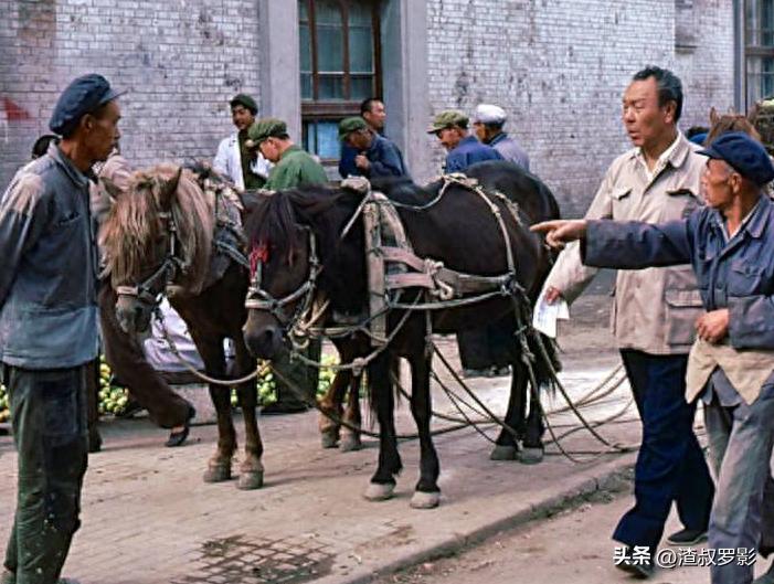 呼和浩特什么时候成为内蒙古首府,内蒙古呼和浩特市40年的变迁