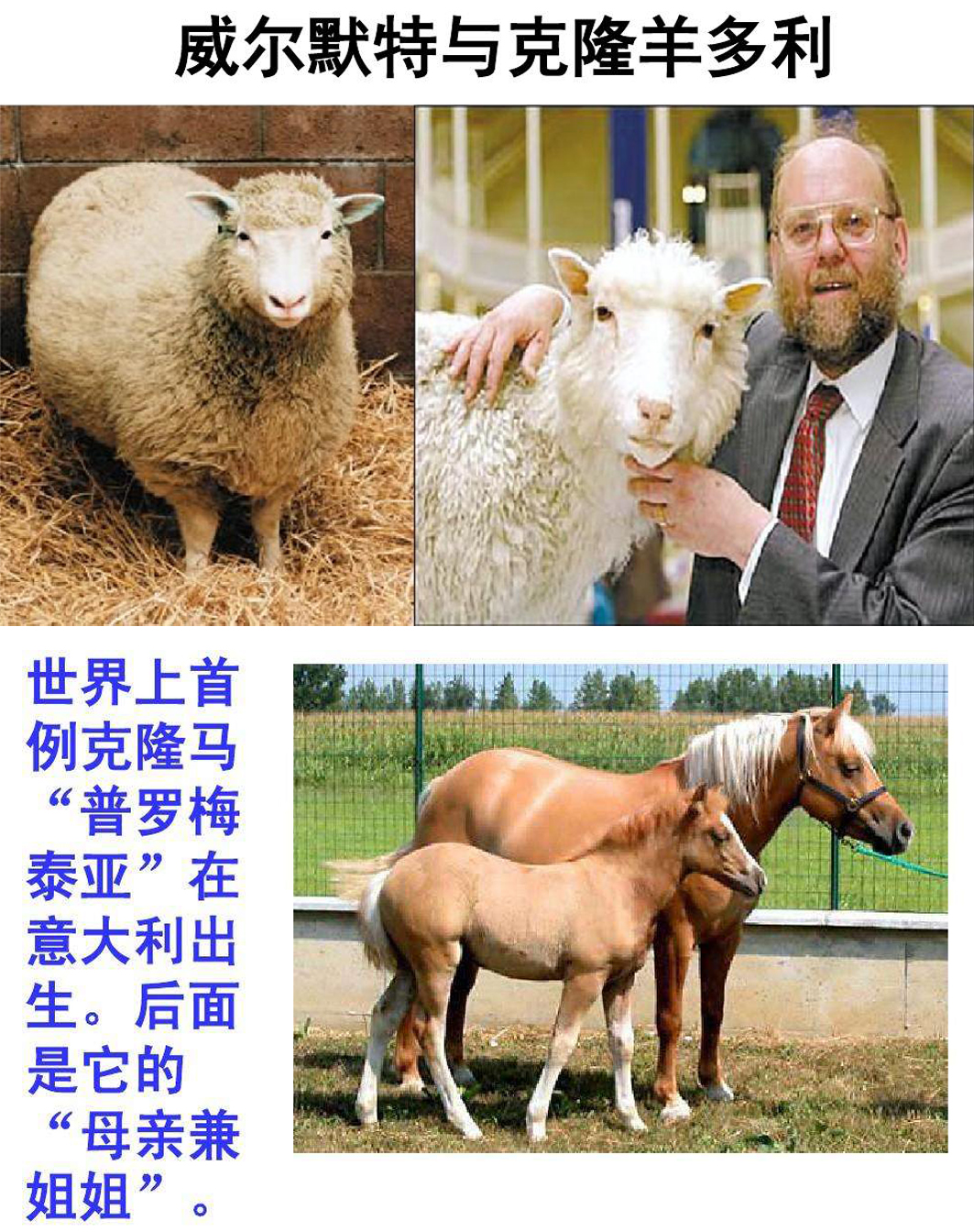 孙悟空天方夜谭一样的神通，有哪些正在由科学家把神话变为现实？