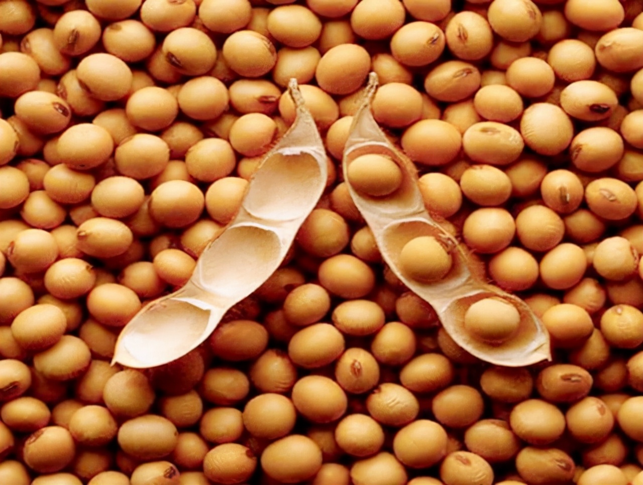 美国无法阻止中国的崛起,美国难以超越吗