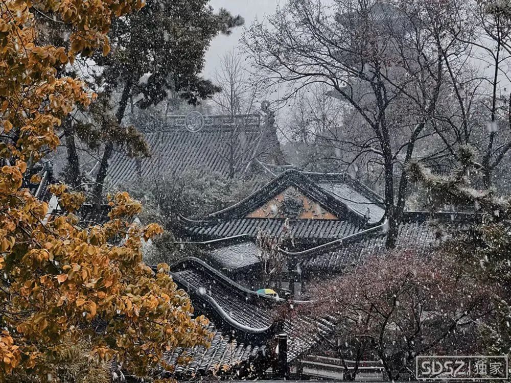 留在苏州是为了什么,是什么原因让你留在苏州这座城市