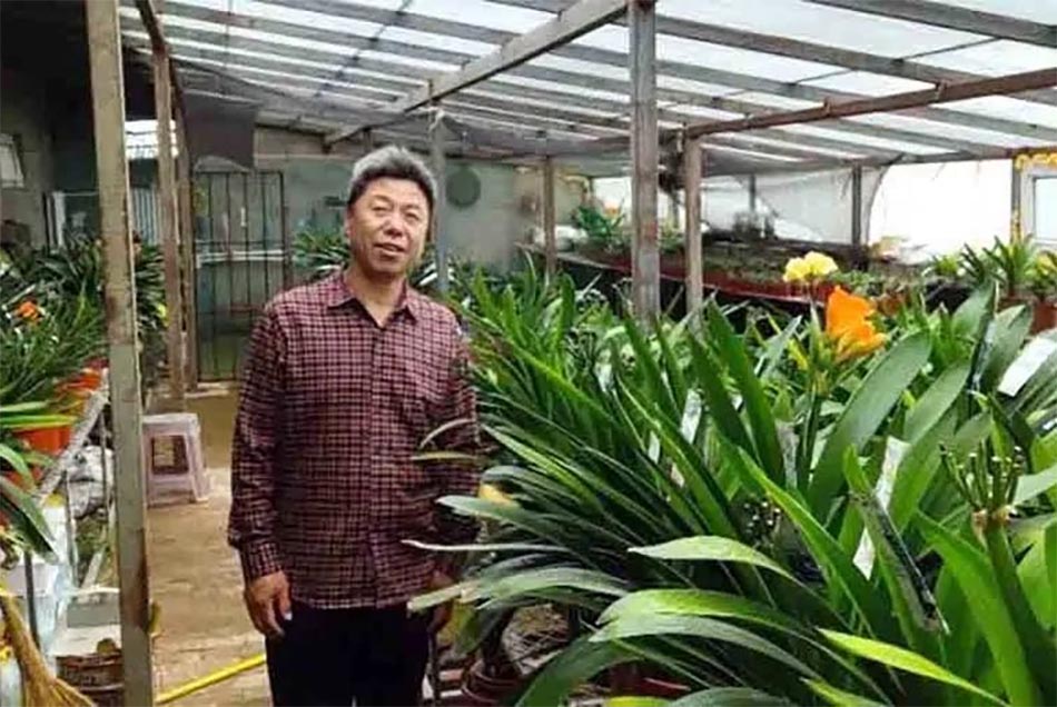 知青往事后续,知青往事完整视频