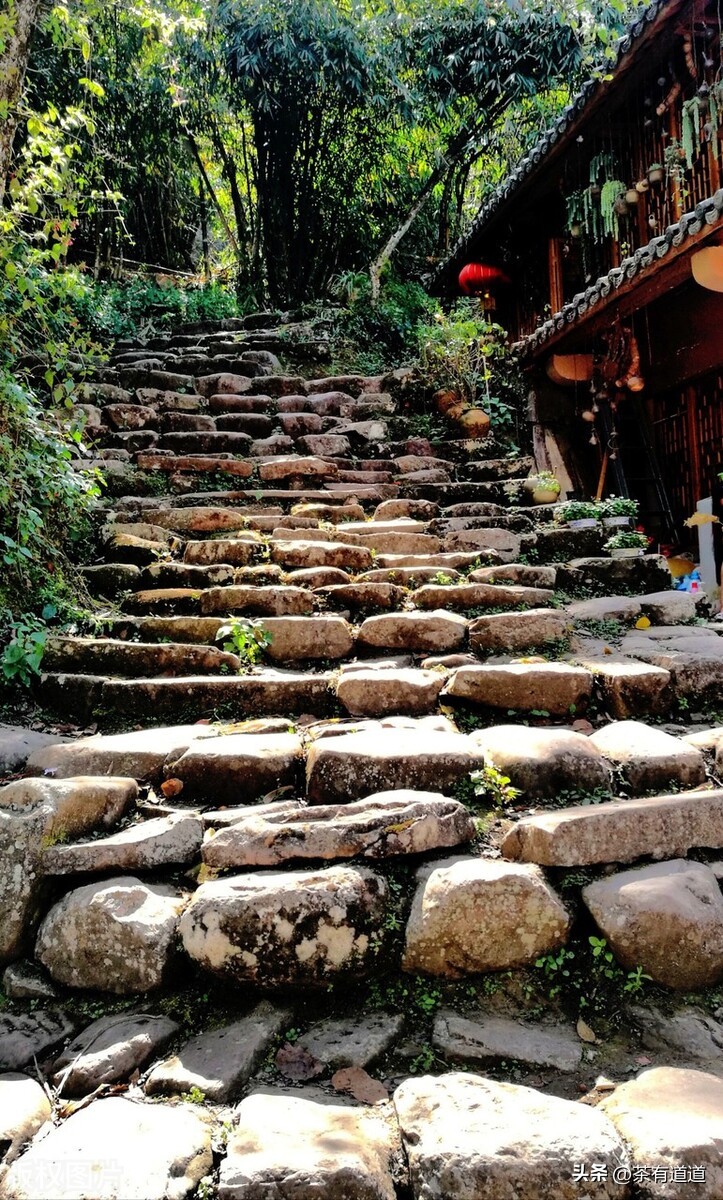 谈谈消逝的茶马古道和茶文化,茶马古道北茶之源在哪里