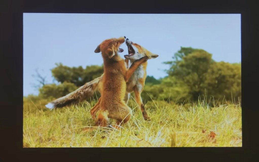 千元投影仪只投影,投影仪有什么好玩法