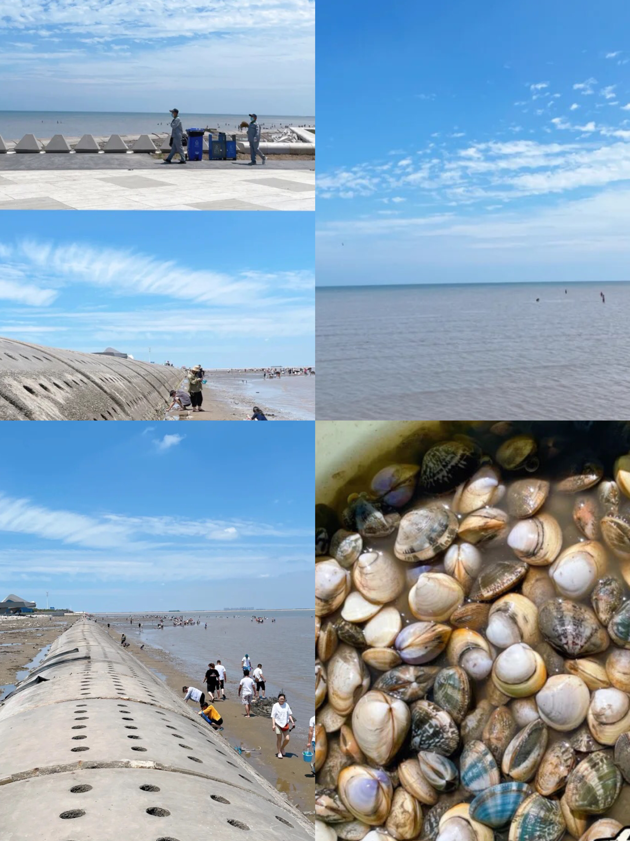 天津滨海新区看海游玩攻略,天津海边看海的地方