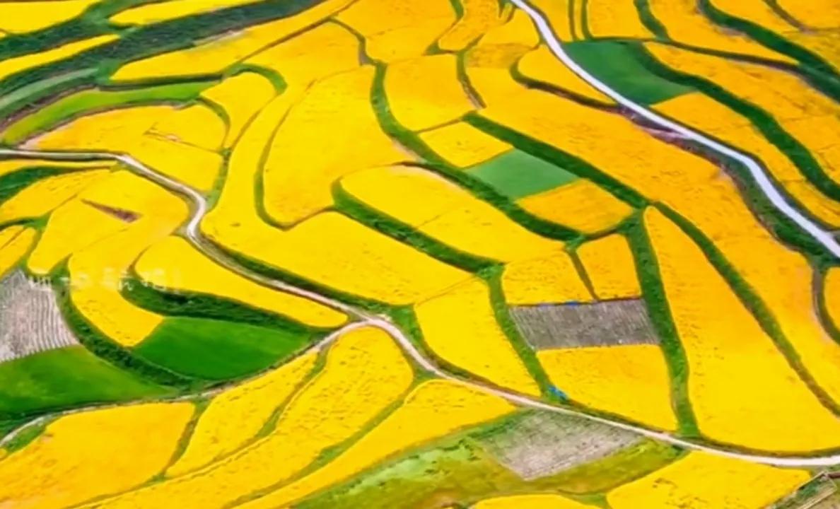 贵州网红草根把亲妹妹介绍给大衣哥做儿媳，返回老家一路江南美景