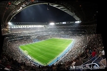 专业足球场草皮,专业足球场多大