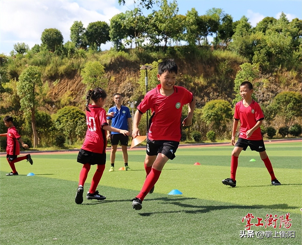 衡阳市新闻报道视频,衡阳快讯新闻